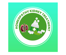 Learning Kidney Issues: Origins, Signs, and Remedies