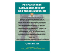 Pet Parents in Bangalore! Join Our Dog Training Session