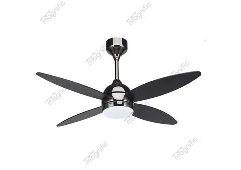 Enhance Your Home with Designer Fans and Lights at Magnific Home Appliances