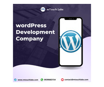 WordPress Website Development Company in Hyderabad
