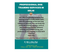 Professional Dog Training Services in Delhi