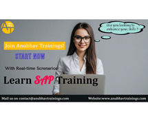 SAP Technical Training