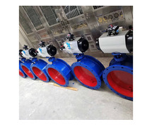 Electric Actuated Butterfly Valve Manufacturer in India