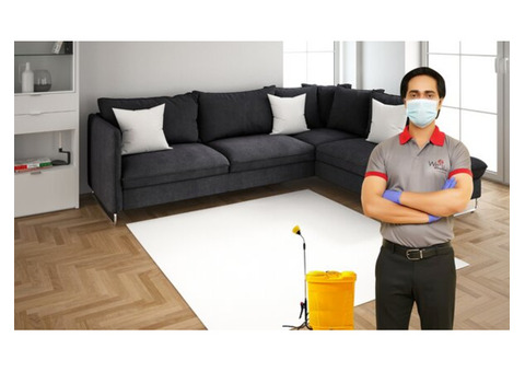 Professional pest control services in Delhi NCR