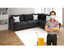 Professional pest control services in Delhi NCR