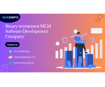 Binary Investment MLM Software Development