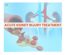 Natural Treatments for Renal Wellness: Homeopathic Solutions for Kidney Health