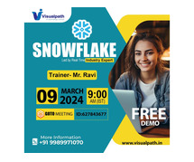 Snowflake Online Training Free Demo