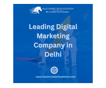 Blue Horse Tech Solution: Leading Digital Marketing Company in Delhi