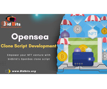 BidBits - OpenSea clone script company