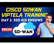 Cisco SD-WAN Viptela with Lab Access from LAN AND WAN TECHNOLOGY