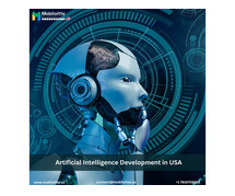 Artificial Intelligence Development Solutions in USA