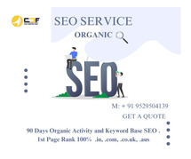Leading SEO Providers in Pune