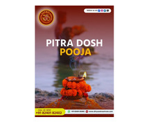 Bring your prosperity to life with Pitra Dosha Pooja