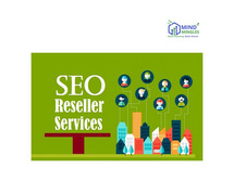 Unlock Growth with Strategic SEO Reseller Services