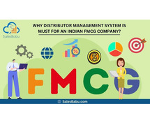 Why Distributor Management System is must for an Indian FMCG company?