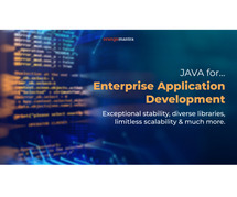 Java Is a Top Enterprise Software Development Framework in 2024