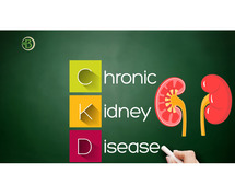 Proper Care of Chronic Kidney Disease: The Silent Concern