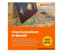 Trusted Mohali Visa Consultants: Your Partner for Visa Success