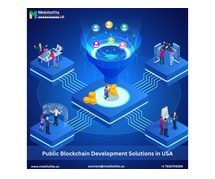 Public Blockchain Development Solutions in USA