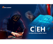 Online Certified Ethical Hacker Training in Bangalore