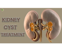 Assessing Renal Dysfunction and Navigating Past the Kidney Disease Terrain