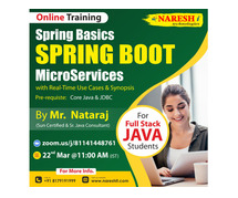 2024 Spring boot and Micro services Training institute in KPHB