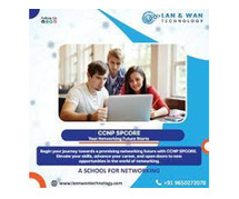 LAN AND WAN TECHNOLOGY ONLINE NETWORKING TRAINING INSTITUTE IN NOIDA