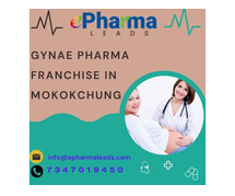 Gynae Pharma Franchise In Mokokchung, Nagaland