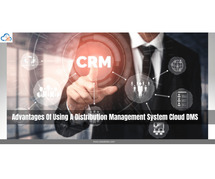 Advantages Of Using A Cloud Distribution Management System