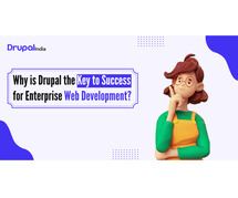 Drupal the Key to Success for Drupal Enterprise Web Development