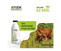 Fresh Gir Cow Milk in Ahmedabad: A Healthy and Nutritious Choice