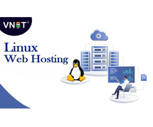 Optimize Your Website with Linux Web Hosting from VNET India