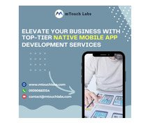Native App Development Services in Hyderabad