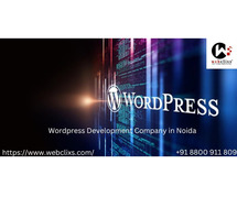 Wordpress Development Agency in Noida | WebClixs.