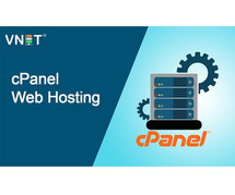Maximize Your Online Potential with cPanel Web Hosting by VNET India