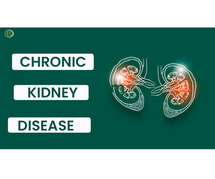 Reducing the Stress: Comprehending Chronic Kidney Illness