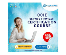LAN AND WAN TECHNOLOGY OFFERS CCIE TRAINING ONLINE
