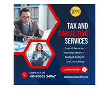 Tax Consulting service provider in najafgarh