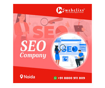 Dominate Search Results with Premier SEO Company in Noida".