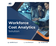 Workforce Cost Analytics Solution