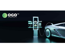 OGO Energy: Top EV Battery Manufacturers in India