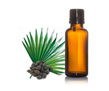 Saw Palmetto Oil Exporter in Germany