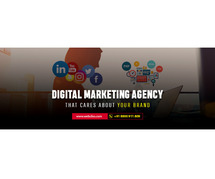 Transform Your Business with Top Digital Marketing Agency in Noida | WebClixs.