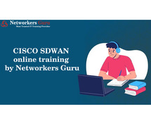 Best CISCO SDWAN Training institute in India