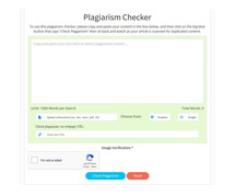Plagiarism Checker - Free Plagiarism Detector Online | Small SEO Tools