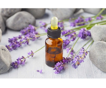 What Are The Health Benefits Of Lavender?