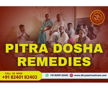 Get Power of Remedies in Balancing Pitra Dosha