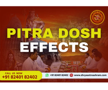 Deal with Pitra Dosh Effects with Online Astrology Services