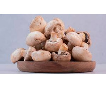 Discover Culinary Excellence: Premium Portobello Mushrooms at Woodberryin!